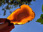 Polished Banded Agate Slices x 10 From Madagascar - Toprock Gemstones and Minerals 