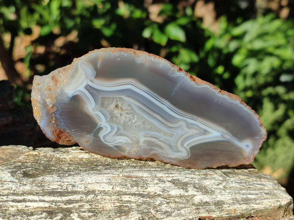 Polished Banded Agate Slices x 10 From Madagascar - Toprock Gemstones and Minerals 