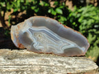 Polished Banded Agate Slices x 10 From Madagascar - Toprock Gemstones and Minerals 