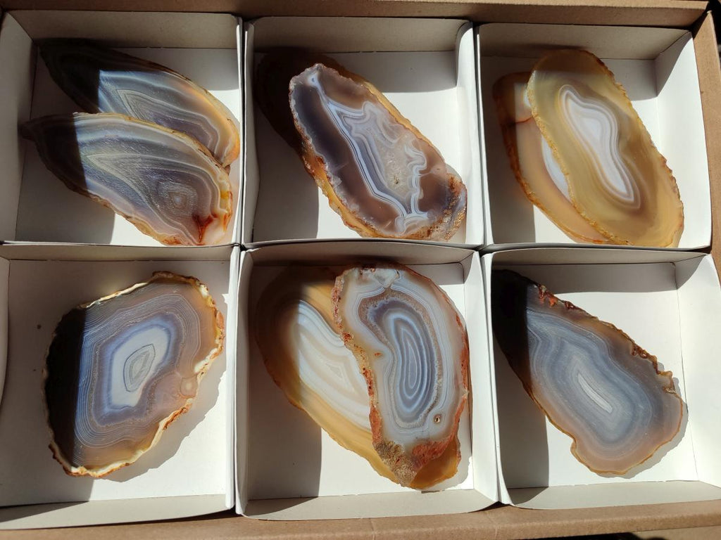 Polished Banded Agate Slices x 10 From Madagascar - Toprock Gemstones and Minerals 