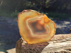 Polished Banded Agate Slices x 10 From Madagascar - Toprock Gemstones and Minerals 