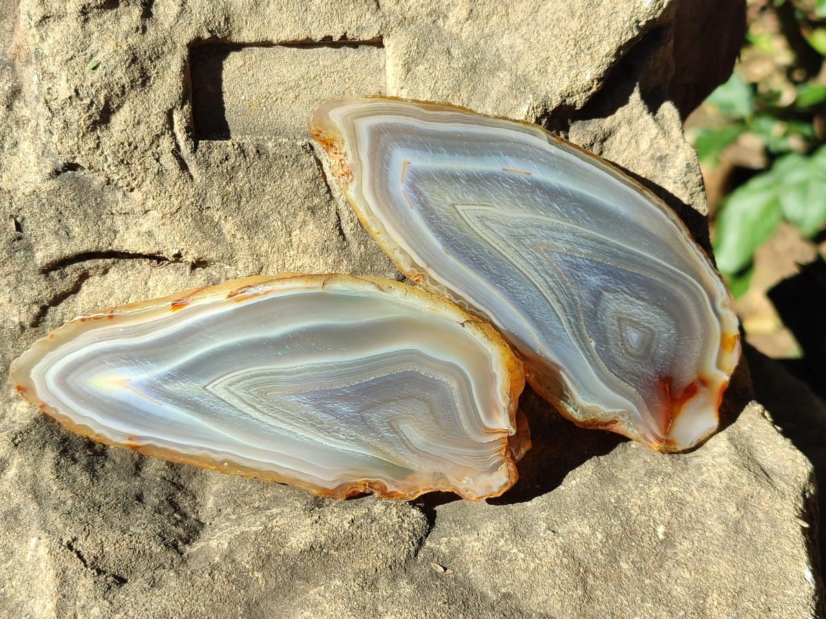 Polished Banded Agate Slices x 10 From Madagascar - Toprock Gemstones and Minerals 