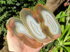 Polished Banded Agate Slices x 10 From Madagascar - Toprock Gemstones and Minerals 