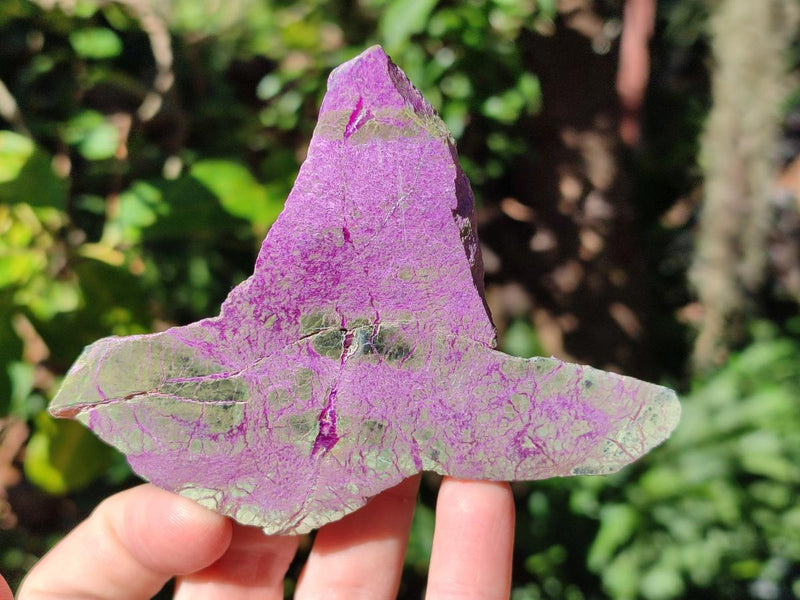 Polished One Side Stichtite Slices x 12 From Barberton, South Africa - Toprock Gemstones and Minerals 