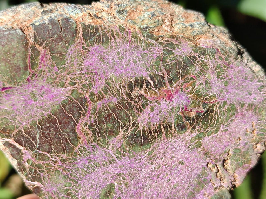 Polished One Side Stichtite Slices x 12 From Barberton, South Africa - Toprock Gemstones and Minerals 