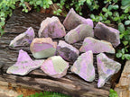 Polished One Side Stichtite Slices x 12 From Barberton, South Africa - Toprock Gemstones and Minerals 