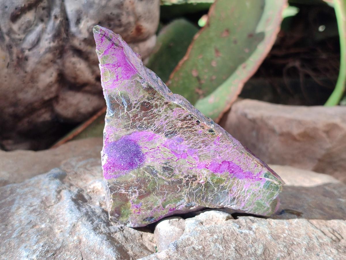 Polished One Side Stichtite Slices x 12 From Barberton, South Africa - Toprock Gemstones and Minerals 