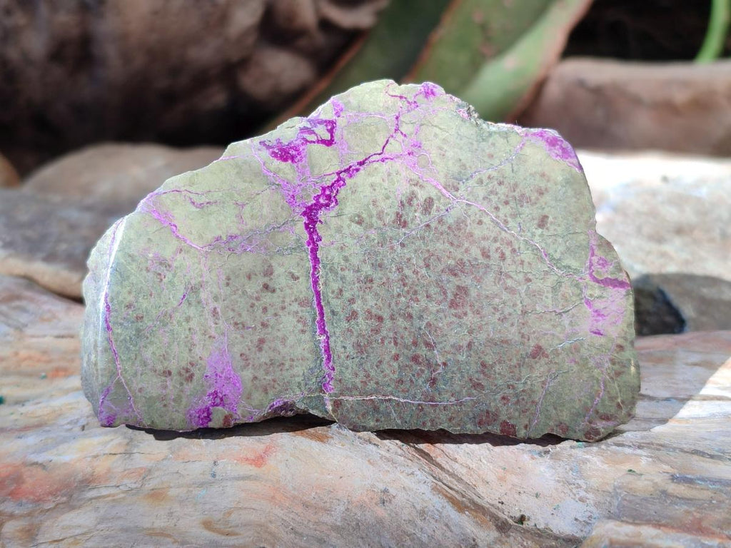 Polished One Side Stichtite Slices x 12 From Barberton, South Africa - Toprock Gemstones and Minerals 