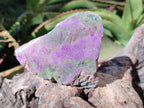 Polished One Side Stichtite Slices x 12 From Barberton, South Africa - Toprock Gemstones and Minerals 
