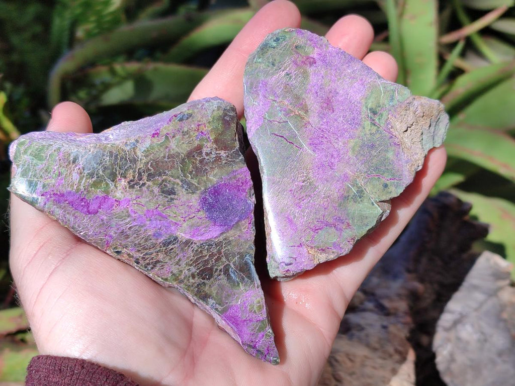 Polished One Side Stichtite Slices x 12 From Barberton, South Africa - Toprock Gemstones and Minerals 