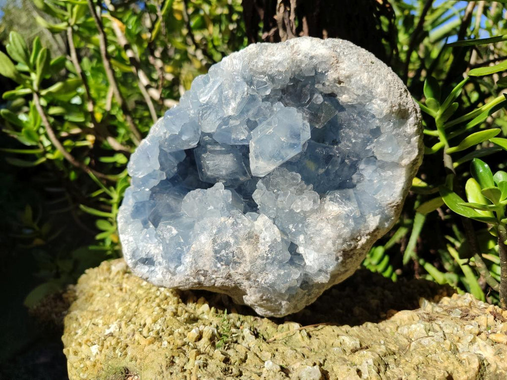 Natural Large Blue Celestite Geode Specimen x 1 From Sakoany, Madagascar - Toprock Gemstones and Minerals 