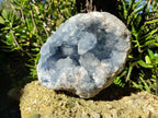 Natural Large Blue Celestite Geode Specimen x 1 From Sakoany, Madagascar - Toprock Gemstones and Minerals 