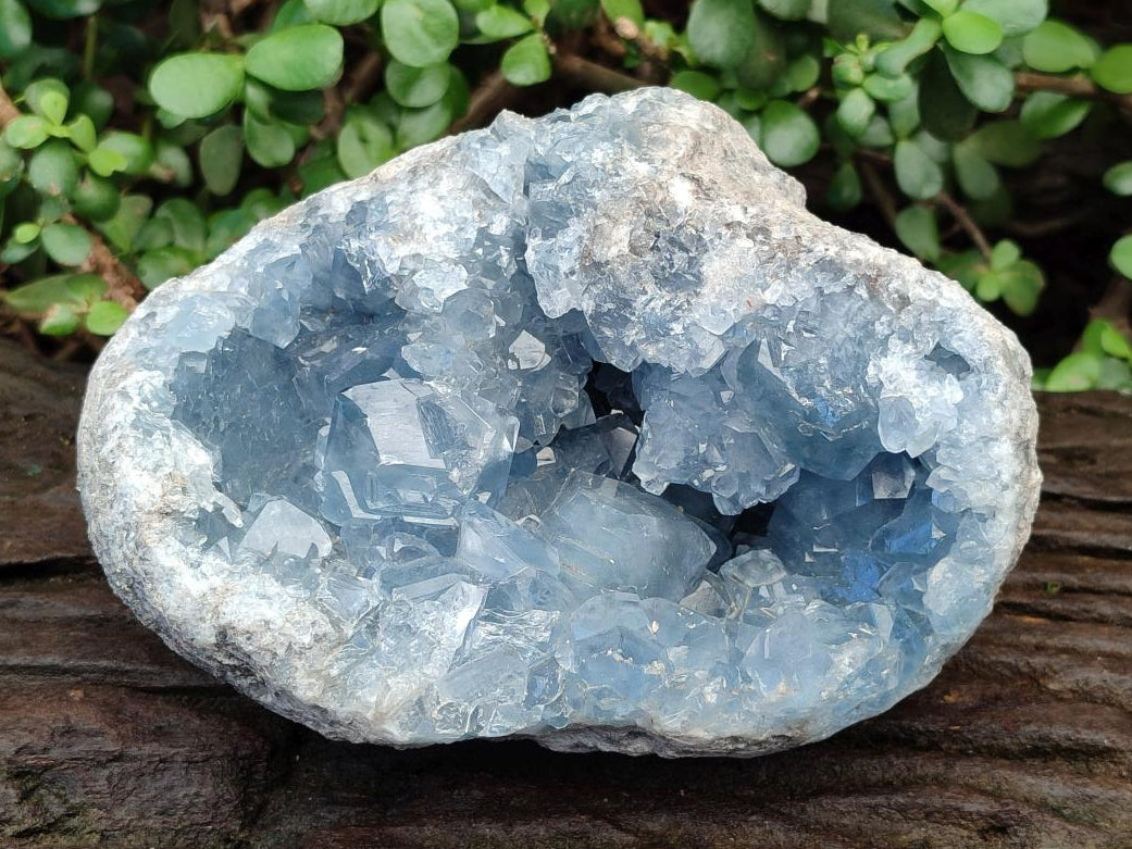 Natural Large Blue Celestite Geode Specimen x 1 From Sakoany, Madagascar - Toprock Gemstones and Minerals 