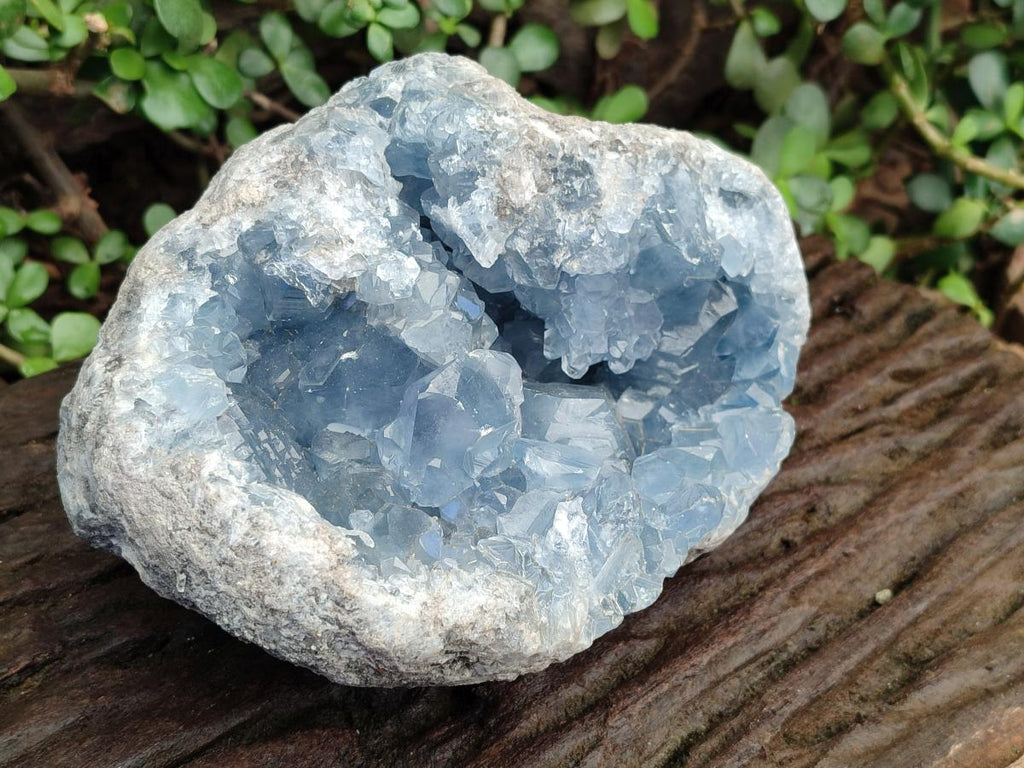 Natural Large Blue Celestite Geode Specimen x 1 From Sakoany, Madagascar - Toprock Gemstones and Minerals 