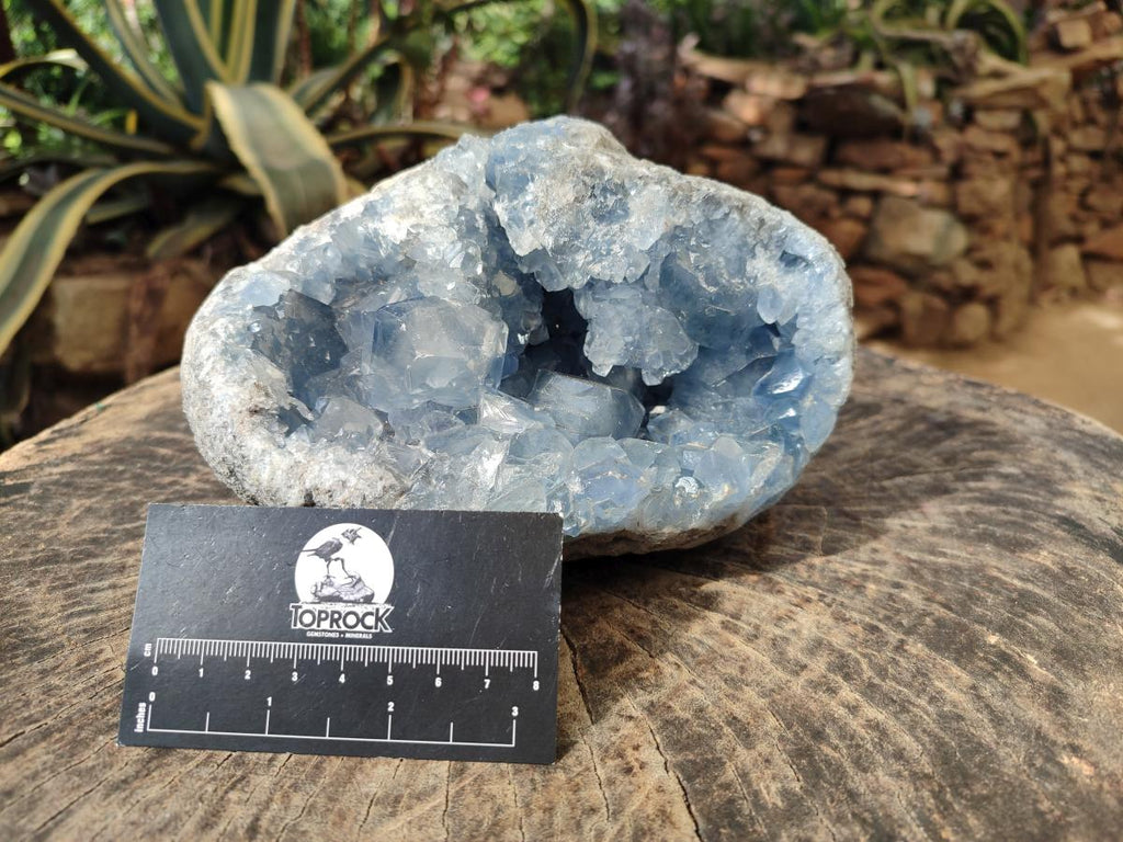 Natural Large Blue Celestite Geode Specimen x 1 From Sakoany, Madagascar - Toprock Gemstones and Minerals 