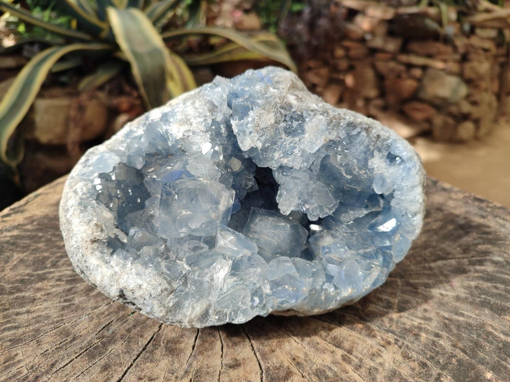 Natural Large Blue Celestite Geode Specimen x 1 From Sakoany, Madagascar - Toprock Gemstones and Minerals 