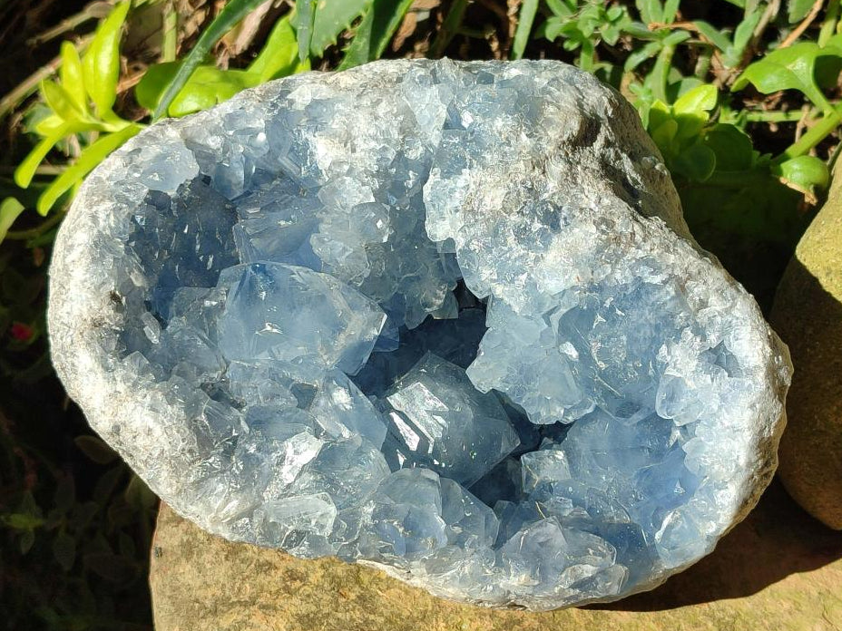Natural Large Blue Celestite Geode Specimen x 1 From Sakoany, Madagascar - Toprock Gemstones and Minerals 