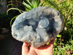 Natural Large Blue Celestite Geode Specimen x 1 From Sakoany, Madagascar - Toprock Gemstones and Minerals 
