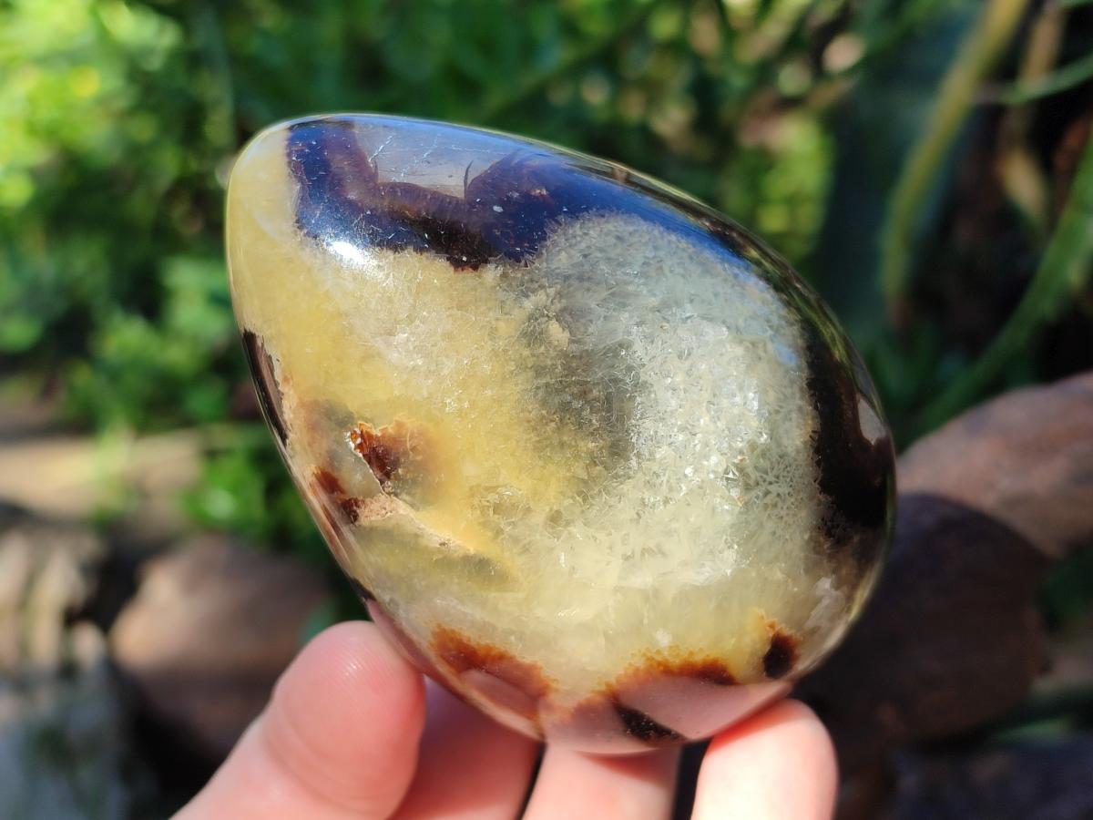 Polished Septerye Eggs x 3 From Mahajanga, Madagascar - Toprock Gemstones and Minerals 