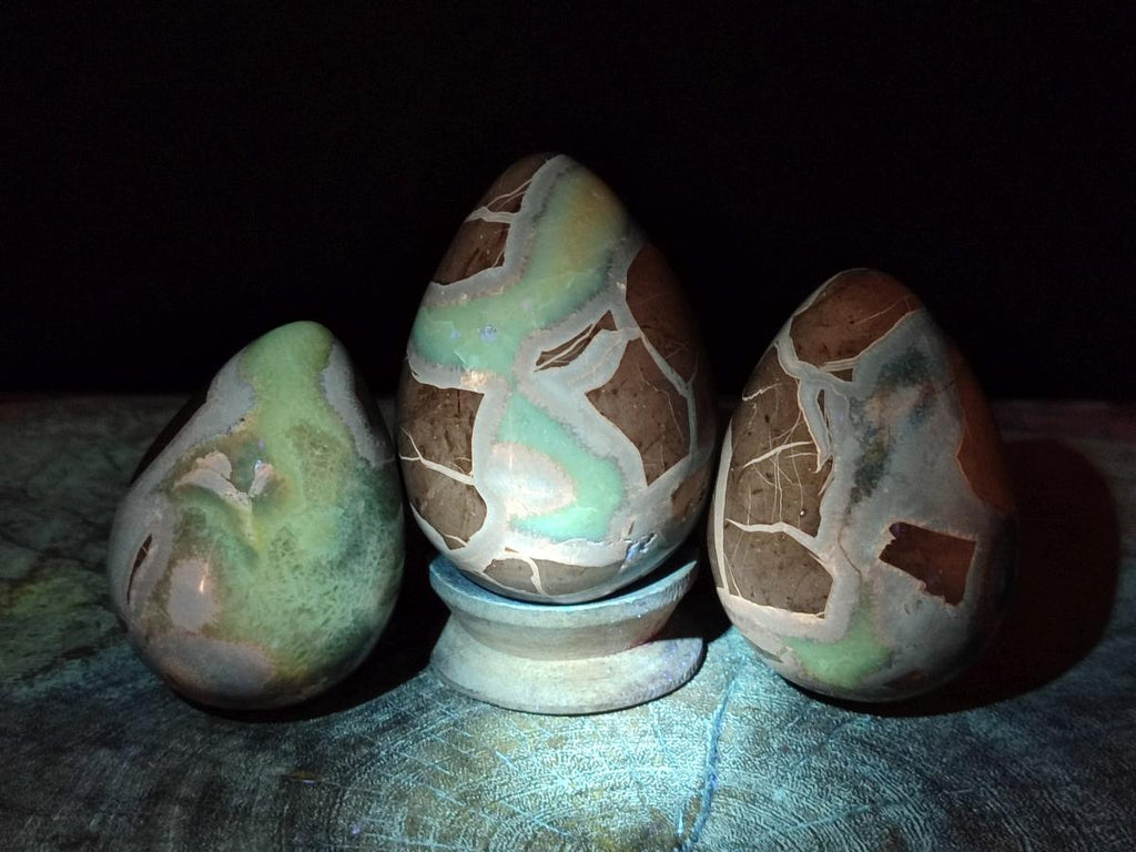 Polished Septerye Eggs x 3 From Mahajanga, Madagascar - Toprock Gemstones and Minerals 