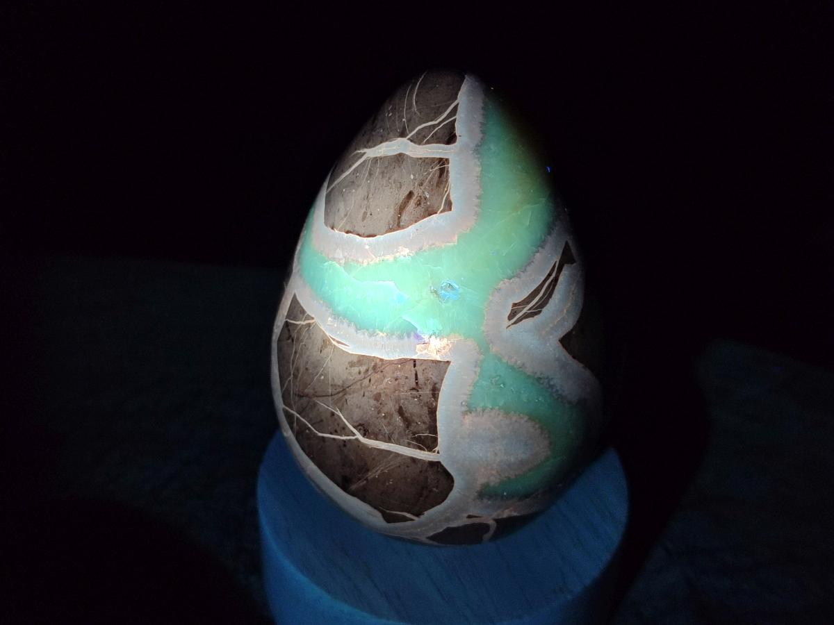 Polished Septerye Eggs x 3 From Mahajanga, Madagascar - Toprock Gemstones and Minerals 