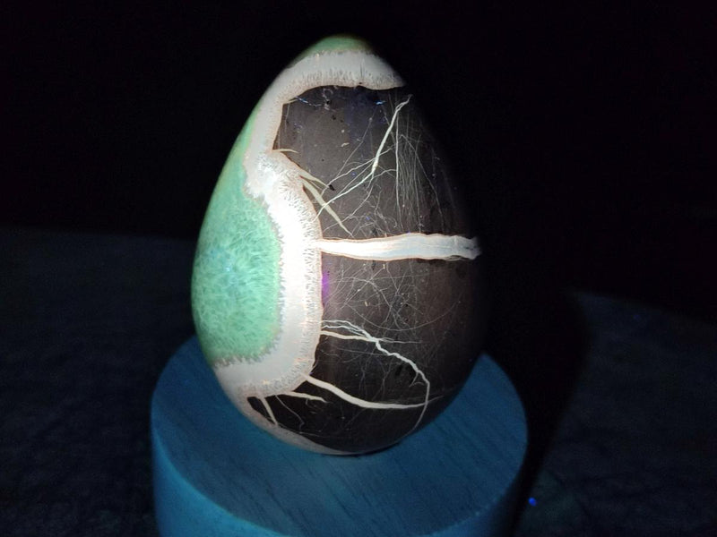 Polished Septerye Eggs x 3 From Mahajanga, Madagascar - Toprock Gemstones and Minerals 