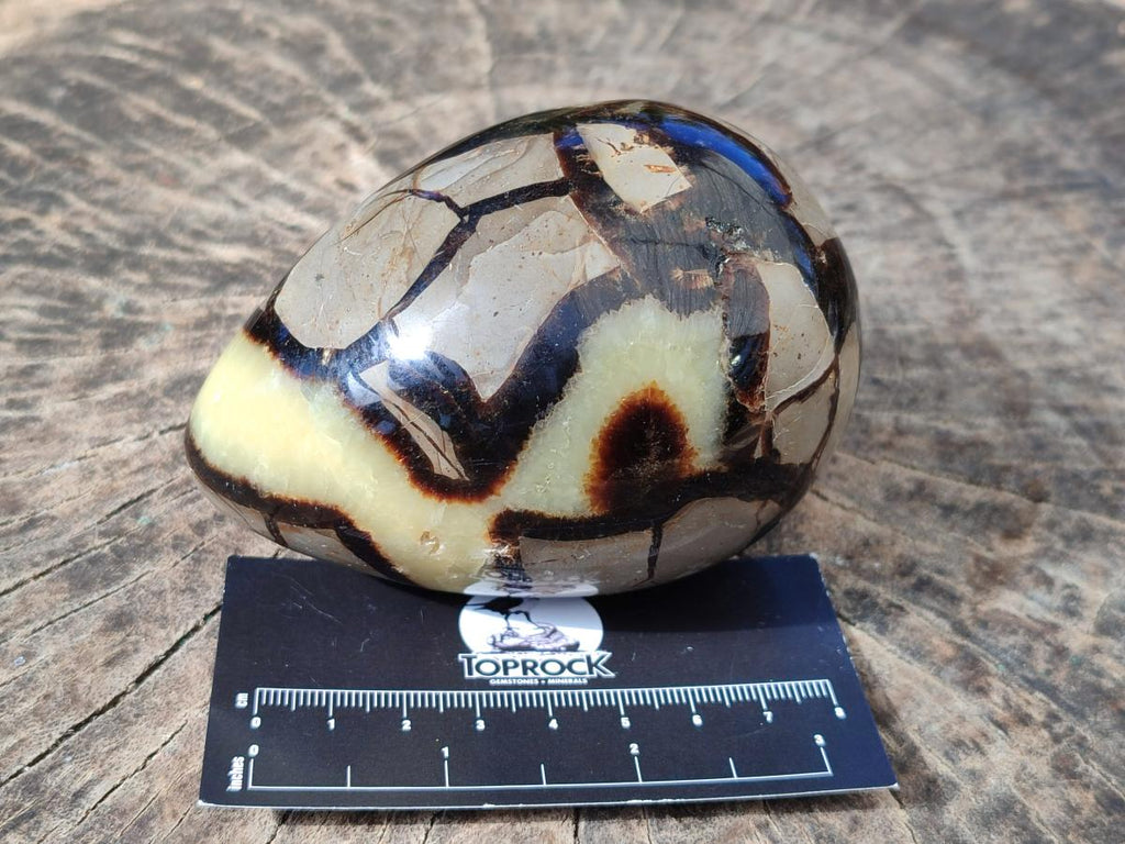 Polished Septerye Eggs x 3 From Mahajanga, Madagascar - Toprock Gemstones and Minerals 