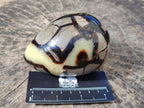 Polished Septerye Eggs x 3 From Mahajanga, Madagascar - Toprock Gemstones and Minerals 