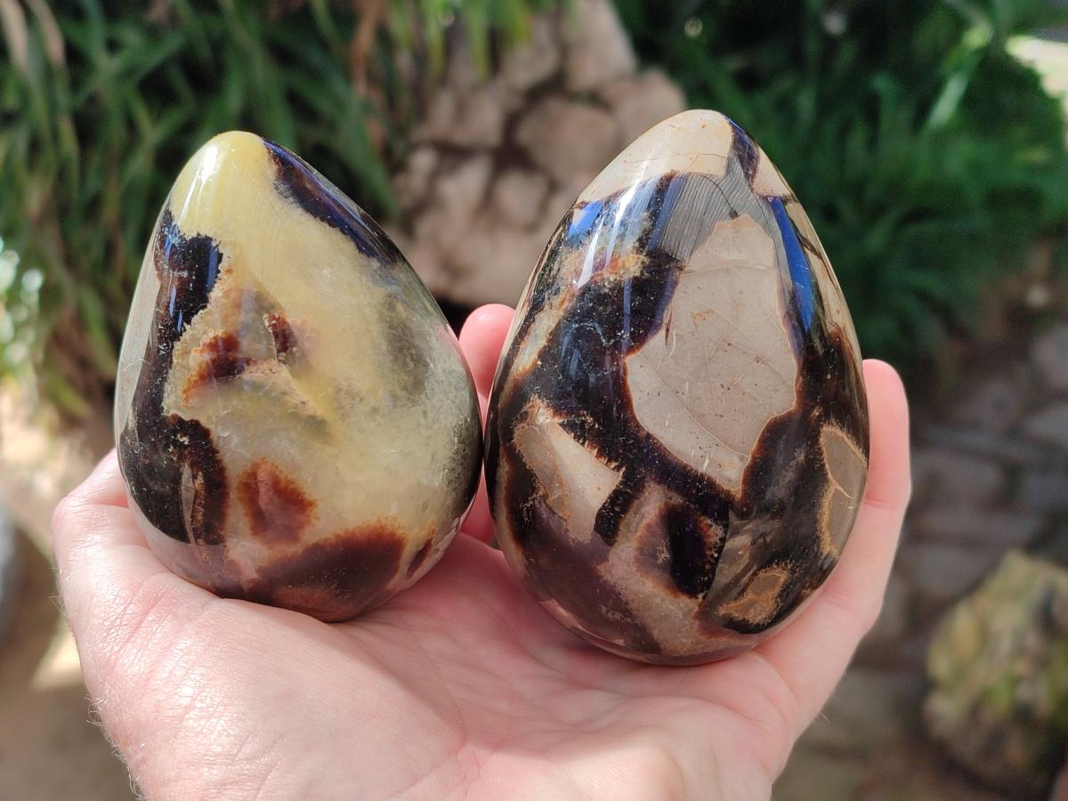 Polished Septerye Eggs x 3 From Mahajanga, Madagascar - Toprock Gemstones and Minerals 