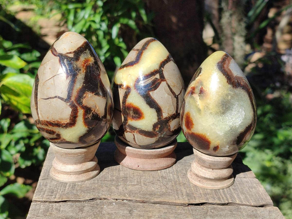 Polished Septerye Eggs x 3 From Mahajanga, Madagascar - Toprock Gemstones and Minerals 