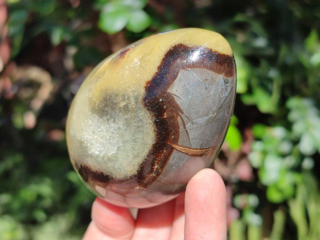 Polished Septerye Eggs x 3 From Mahajanga, Madagascar - Toprock Gemstones and Minerals 