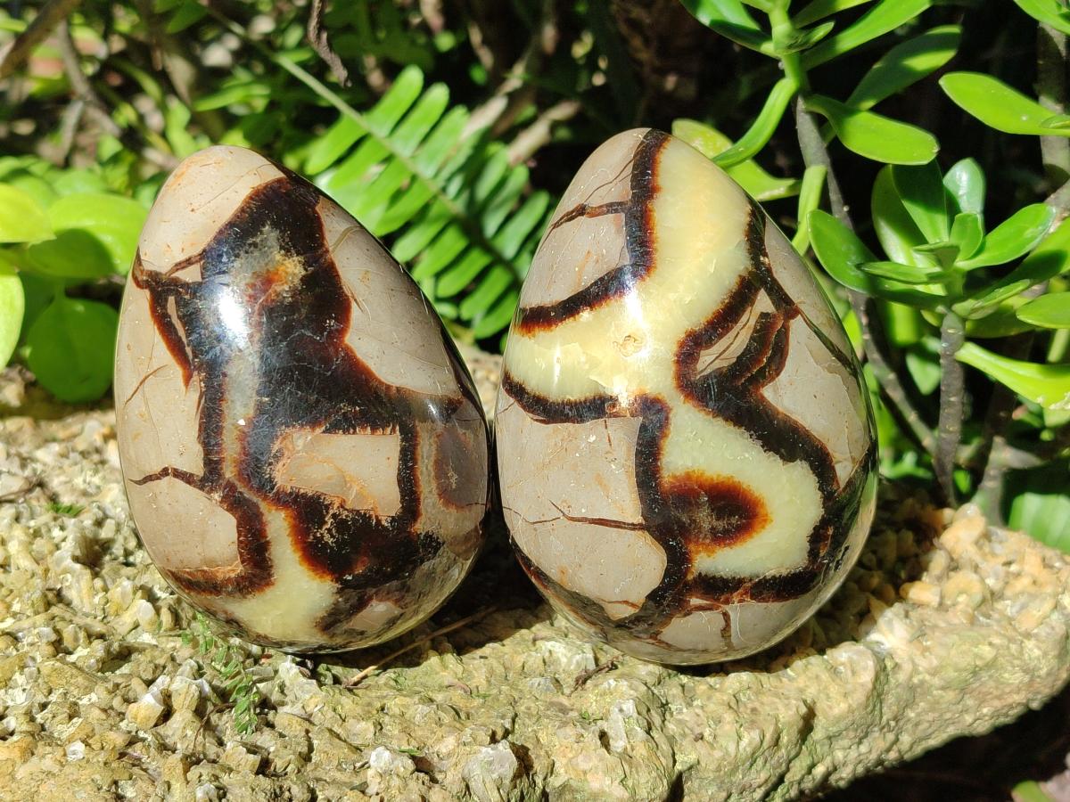 Polished Septerye Eggs x 3 From Mahajanga, Madagascar - Toprock Gemstones and Minerals 