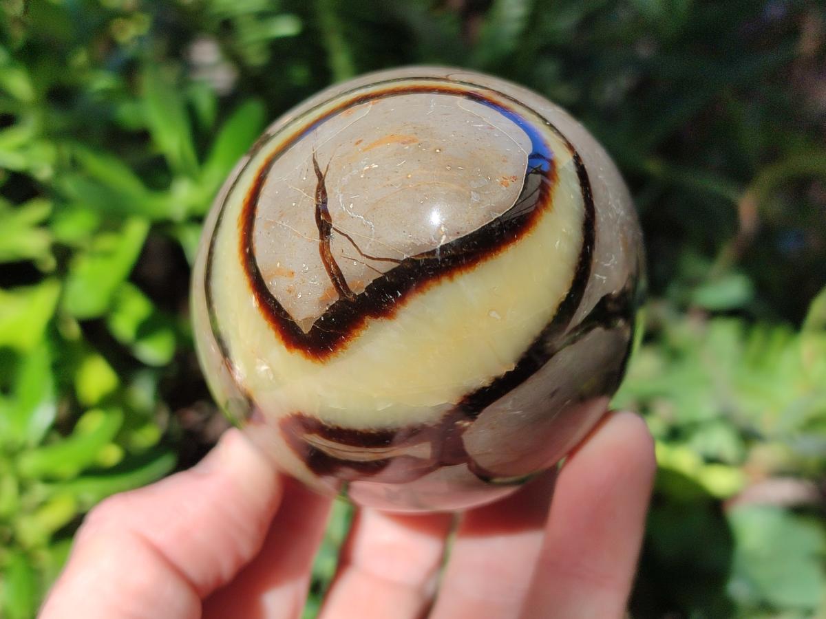 Polished Septerye Eggs x 3 From Mahajanga, Madagascar - Toprock Gemstones and Minerals 