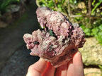 Natural Salrose Cobaltoan Dolomite Specimens x 6 From Kakanda, Congo - Toprock Gemstones and Minerals 