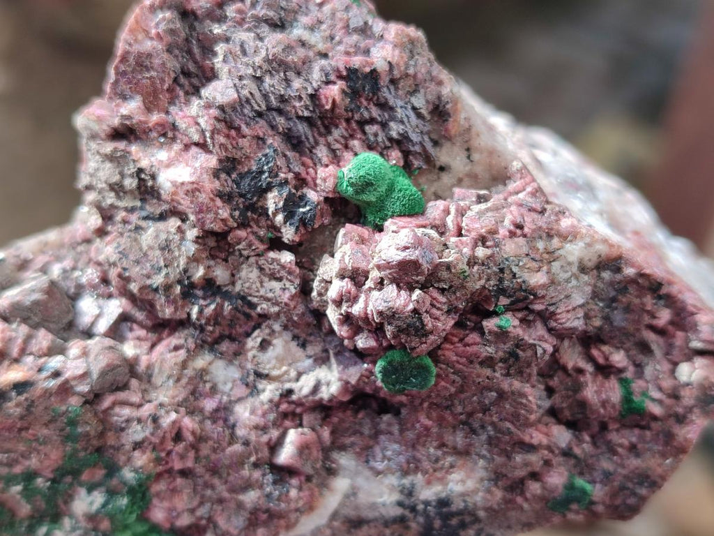 Natural Salrose Cobaltoan Dolomite Specimens x 6 From Kakanda, Congo - Toprock Gemstones and Minerals 