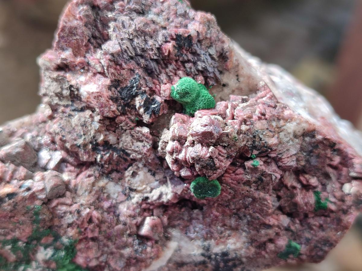 Natural Salrose Cobaltoan Dolomite Specimens x 6 From Kakanda, Congo - Toprock Gemstones and Minerals 