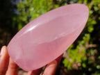 Polished Gemmy Rose Quartz Standing Display Pieces x 2 From Madagascar - Toprock Gemstones and Minerals 