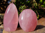 Polished Gemmy Rose Quartz Standing Display Pieces x 2 From Madagascar - Toprock Gemstones and Minerals 