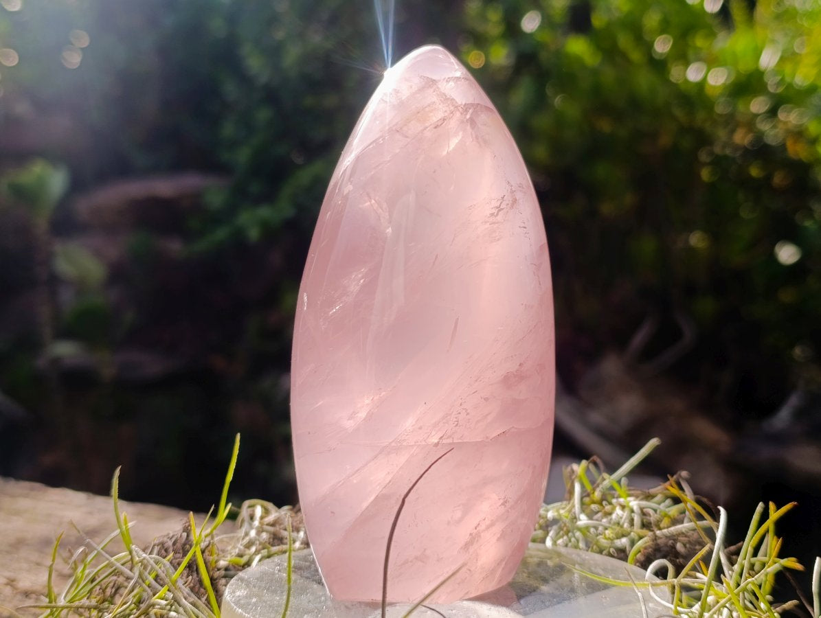 Polished Gemmy Rose Quartz Standing Display Pieces x 2 From Madagascar - Toprock Gemstones and Minerals 