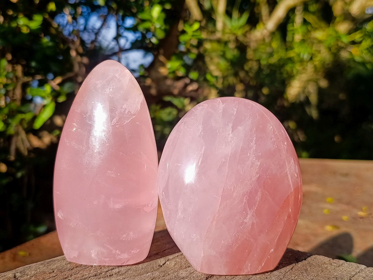 Polished Gemmy Rose Quartz Standing Display Pieces x 2 From Madagascar - Toprock Gemstones and Minerals 