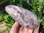 Polished Purple Chevron Amethyst Standing Display Pieces x 2 From Madagascar - Toprock Gemstones and Minerals 