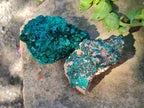 Natural Dioptase on Dolomite Specimens x 2 From Likasi, Congo - Toprock Gemstones and Minerals 