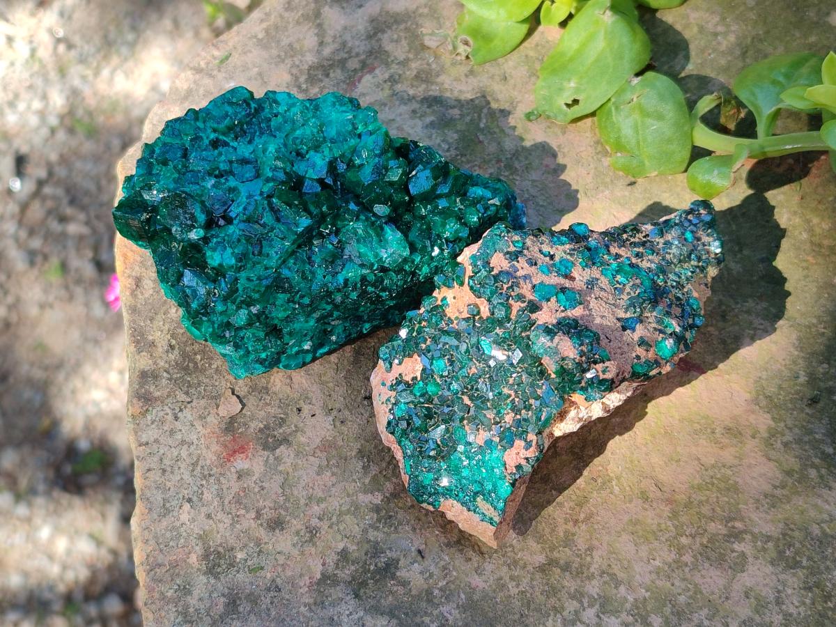 Natural Dioptase on Dolomite Specimens x 2 From Likasi, Congo - Toprock Gemstones and Minerals 