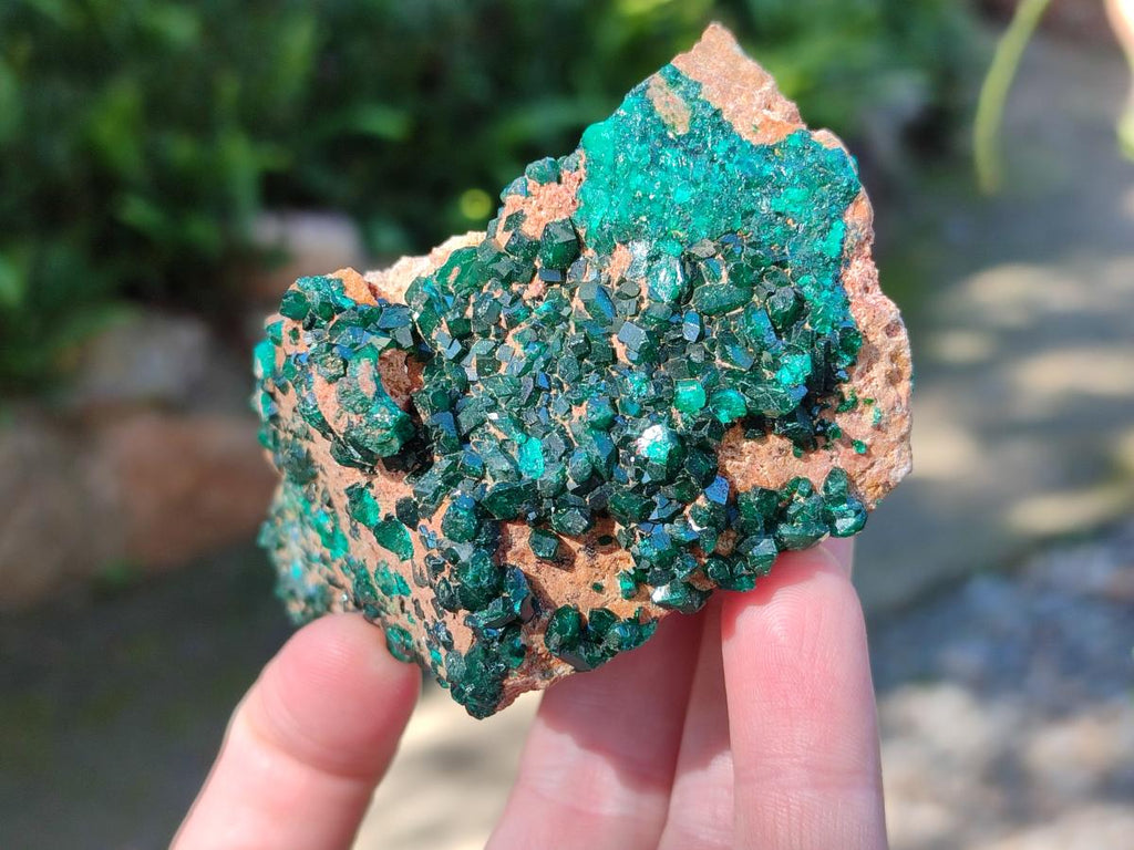 Natural Dioptase on Dolomite Specimens x 2 From Likasi, Congo - Toprock Gemstones and Minerals 