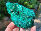 Natural Dioptase on Dolomite Specimens x 2 From Likasi, Congo - Toprock Gemstones and Minerals 