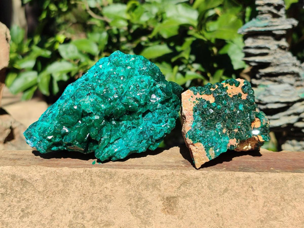 Natural Dioptase on Dolomite Specimens x 2 From Likasi, Congo - Toprock Gemstones and Minerals 