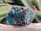 Natural Dioptase on Dolomite Specimens x 2 From Likasi, Congo - Toprock Gemstones and Minerals 