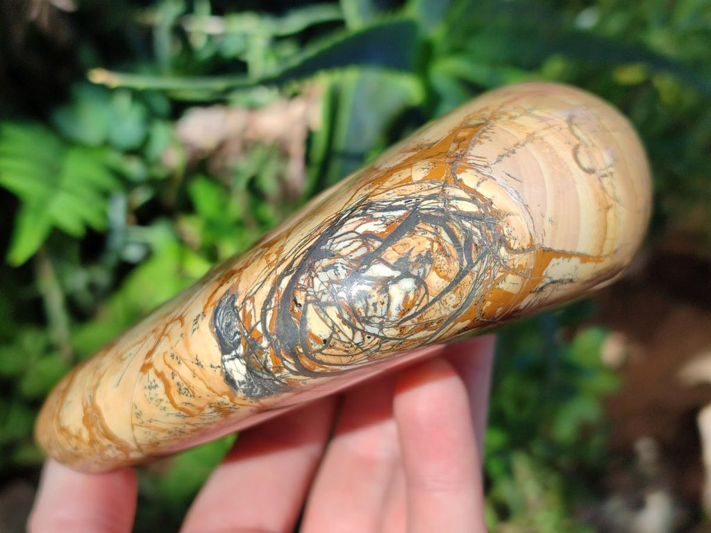 Polished Picture Stone Jasper Standing Display Pieces x 2 From Ais-Ais, Namibia - Toprock Gemstones and Minerals 