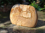 Polished Picture Stone Jasper Standing Display Pieces x 2 From Ais-Ais, Namibia - Toprock Gemstones and Minerals 