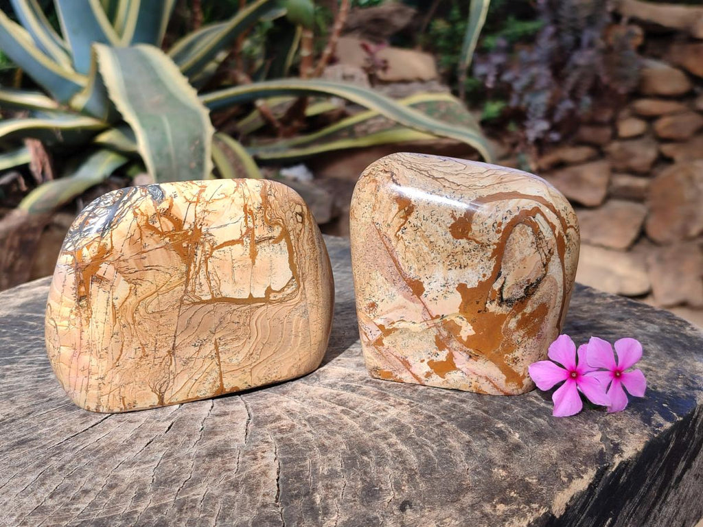 Polished Picture Stone Jasper Standing Display Pieces x 2 From Ais-Ais, Namibia - Toprock Gemstones and Minerals 